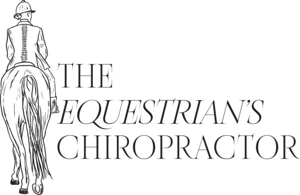 The Equestrian’s Chiropractor