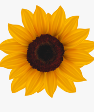 Book an Appointment with Sunflower Room Calendar for Counselling