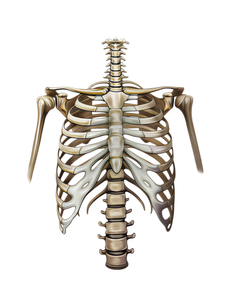 Oil Springs Osteopathy