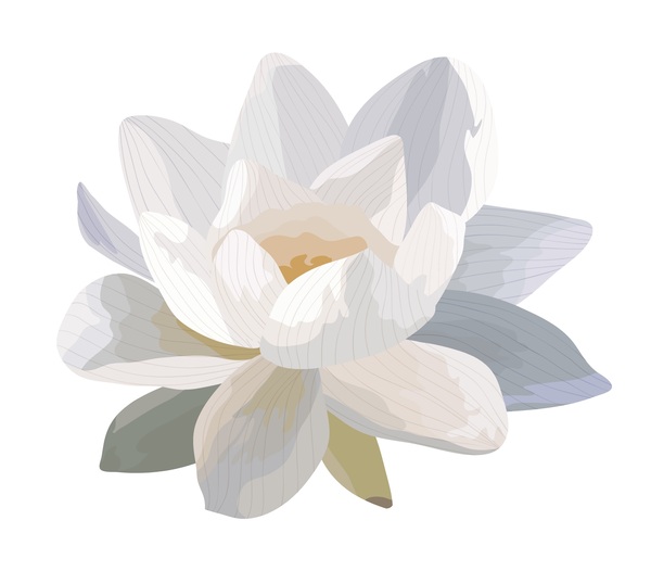 Botanique Naturopathic Clinic