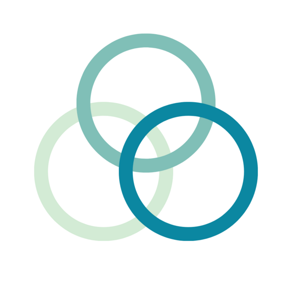 Qi Wellness