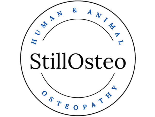 StillOsteo