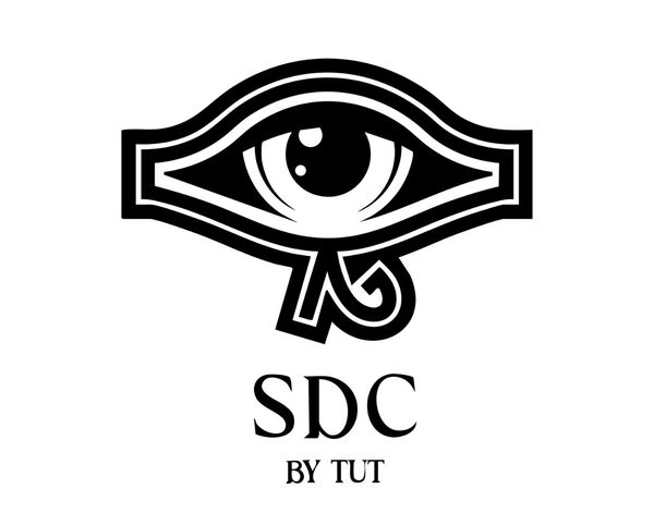 SDC by PREETI TUT
