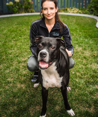 Book an Appointment with Tasia Befus for Canine bodyworker