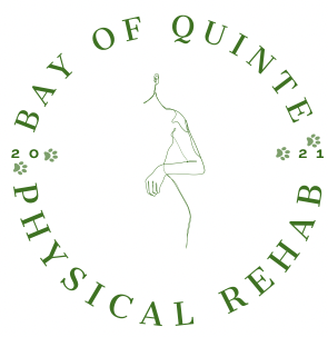 Bay of Quinte Physical Rehab
